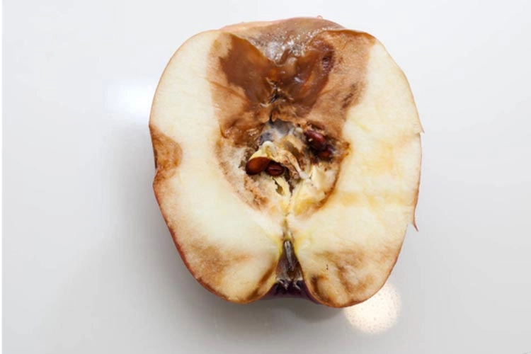 Generador de ácido hipocloroso Hypochlorous acid genetor