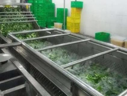 Hypochlorous acid is used in food processing