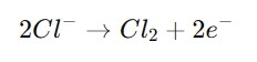 At the Anode (Positive Electrode):
