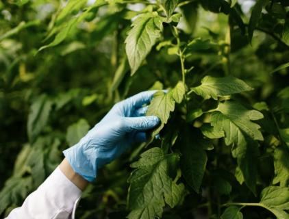 농장 소독을 간편하게