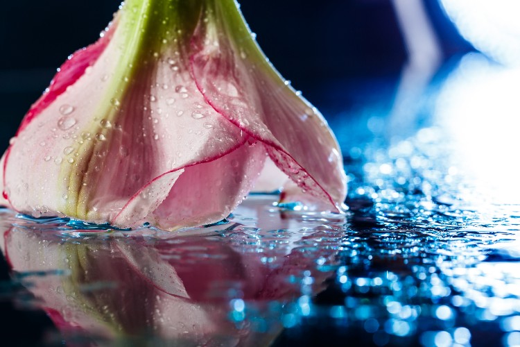 What Does Hypochlorous Acid Smell Like?