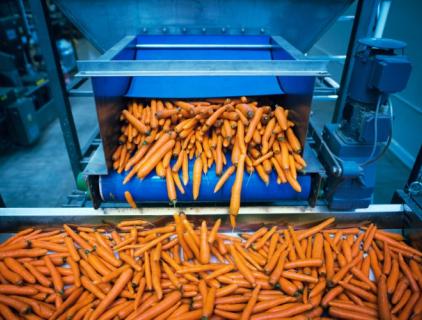 Food Processing Disinfection Secrets