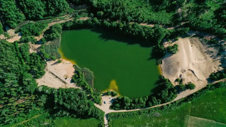 نهج أخضر لمعالجة المياه