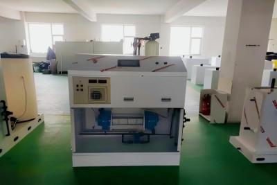 Production efficace de chlore - 300 g