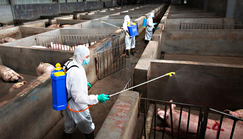 Hypochlorous Acid Generator Livestock disinfection.jpg