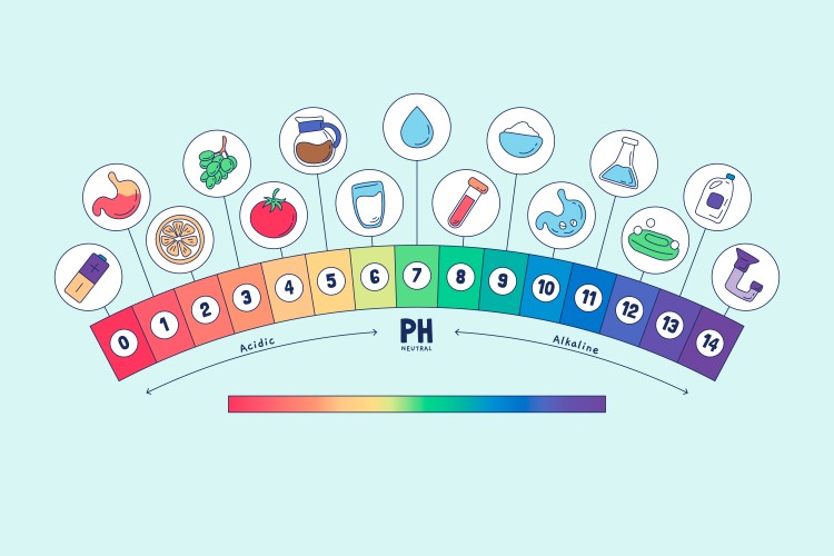 Hvad er den bedste pH-værdi for hypokolsyre Hvad er den bedste pH-værdi for hypokolsyre