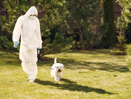 농장에서 소독하는 방법