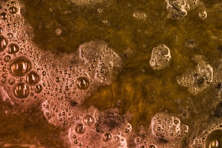 ¿El HOCl limpia la pátina? Explorando el poder del HOCl en la limpieza de cobre y latón ¿El HOCl limpia la pátina? Explorando el poder del HOCl en la limpieza de cobre y latón