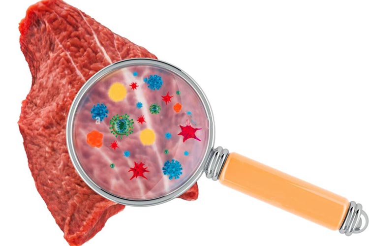 Hypochlorous acid is used in food processing Hypochlorous acid is used in food processing