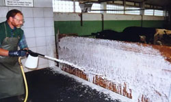 Animal husbandry Animal husbandry