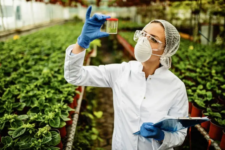 ¿Pueden las plantas acuáticas realmente eliminar los pesticidas? ¿Pueden las plantas acuáticas realmente eliminar los pesticidas?