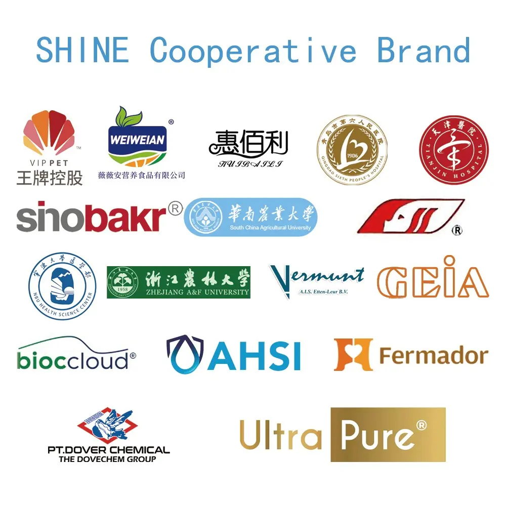 Escolhendo o fornecedor certo de geração de ácido hipocloroso