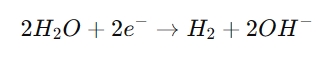 At the Cathode (Negative Electrode):