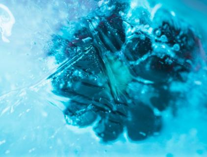 水の消毒の隠れた瞬間