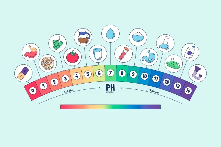 ค่า pH ที่ดีที่สุดสำหรับกรดไฮโปคลอรัสคือเท่าไร ค่า pH ที่ดีที่สุดสำหรับกรดไฮโปคลอรัสคือเท่าไร