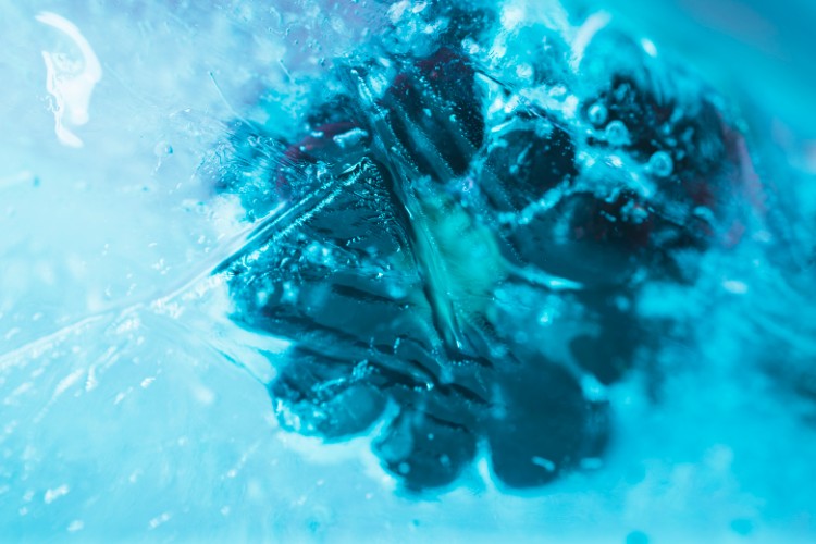 Le moment caché de la désinfection de l'eau Le moment caché de la désinfection de l'eau