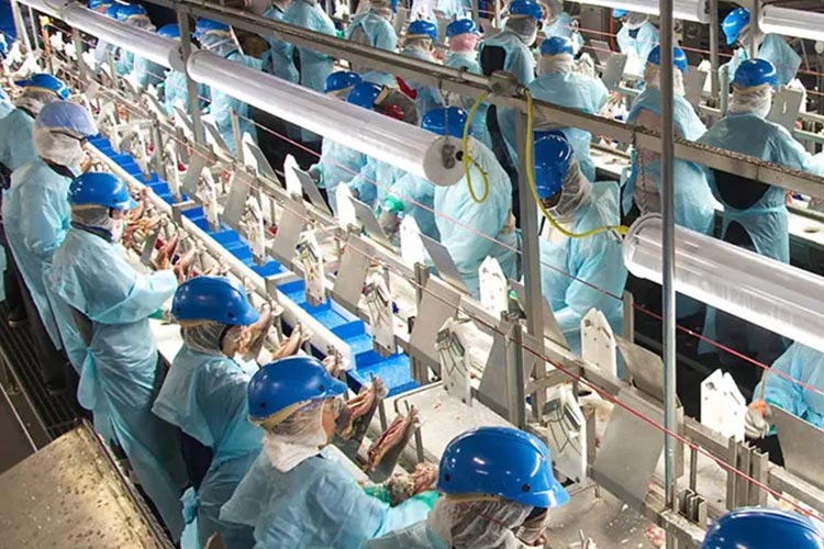 مولد HOCL لتجهيز الأغذية مولد HOCL لتجهيز الأغذية