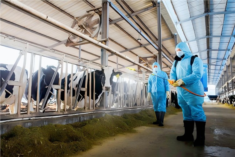 HOCl Boosts Livestock Hygiene, Supports Health & Sustainability