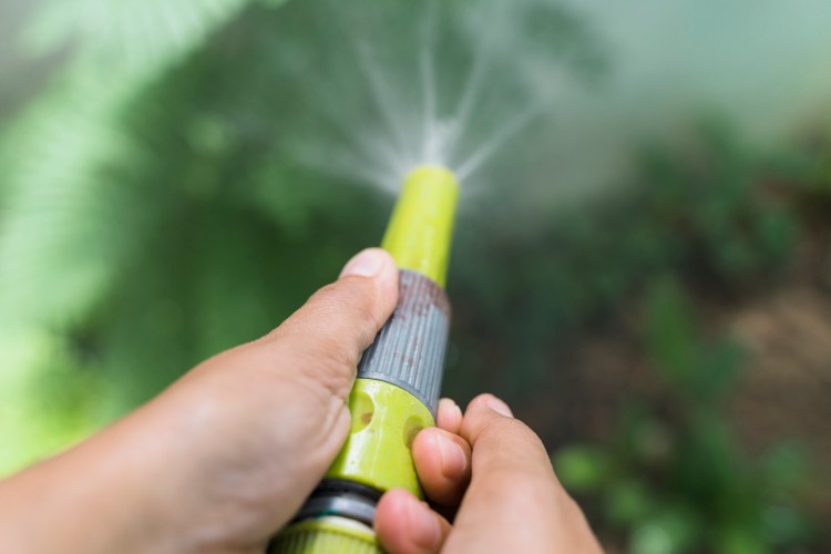 How We Use Hypochlorous Spray on Fruits and Vegetables