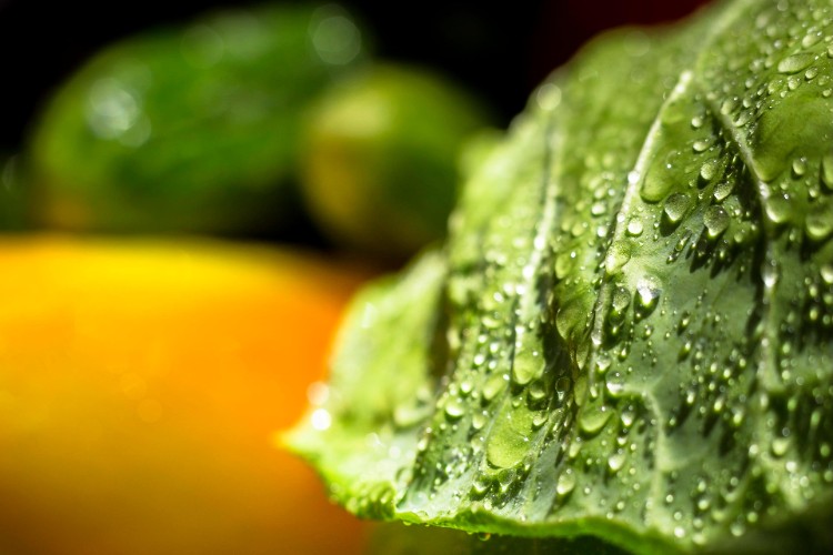 Spray HOCl on Produce for Safer Eating
