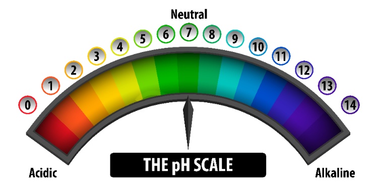 Níveis incorretos de pH: o ato de equilíbrio Níveis incorretos de pH: o ato de equilíbrio