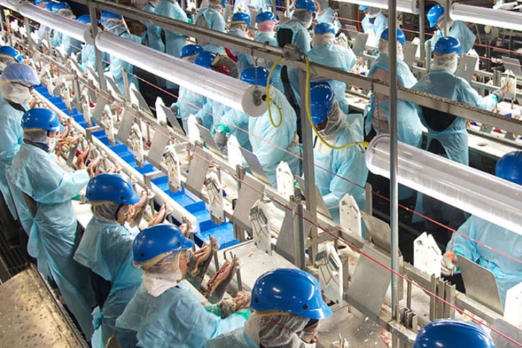 食品加工工場.jpg 食品加工工場.jpg