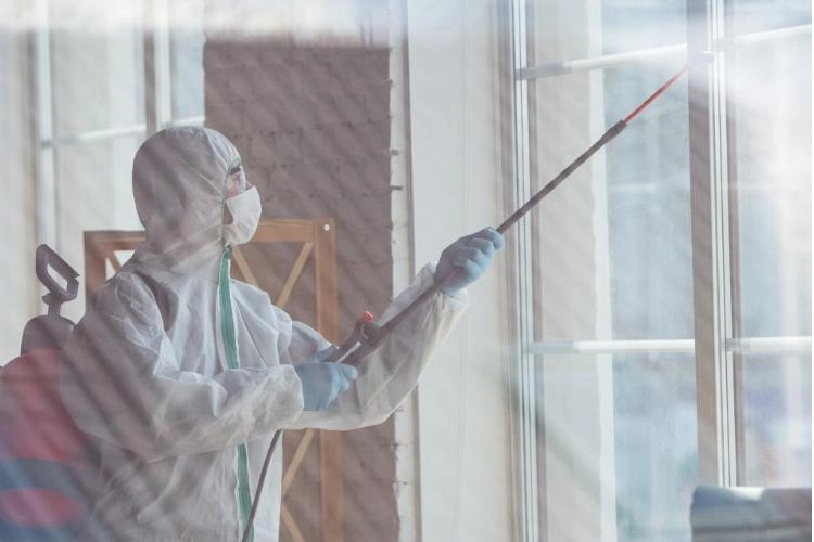 Hypochlorite in Public Health Protection