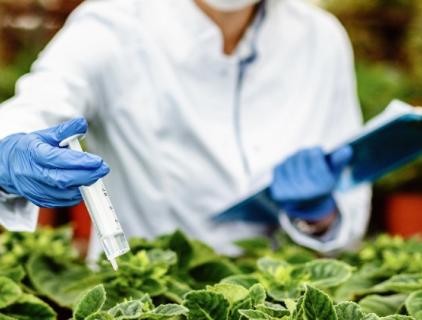 Farm Crop Disinfection Guide