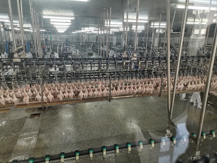 5. Segurança e Conservação Alimentar 5. Segurança e Conservação Alimentar
