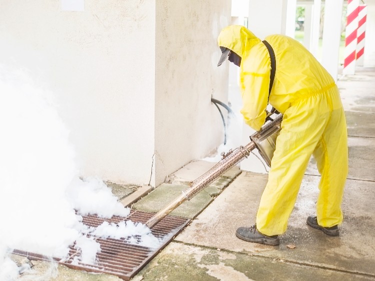 Why Disinfection in Dairy Farming Matters