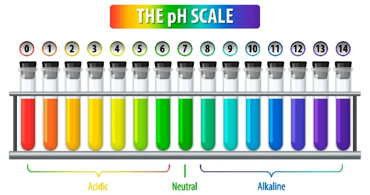 เหตุใด HOCl จึงทำงานได้ดีกว่าที่ค่า pH เป็นกรดเล็กน้อย เหตุใด HOCl จึงทำงานได้ดีกว่าที่ค่า pH เป็นกรดเล็กน้อย