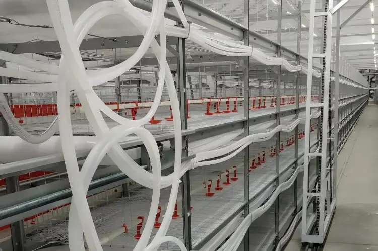 Por qué es importante la calidad de los equipos en la generación de HOCl Por qué es importante la calidad de los equipos en la generación de HOCl