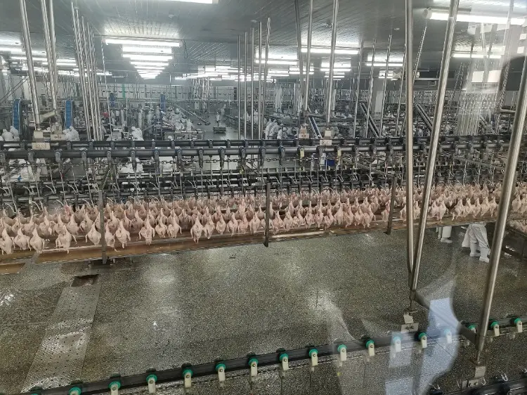 5. Food Safety and Preservation