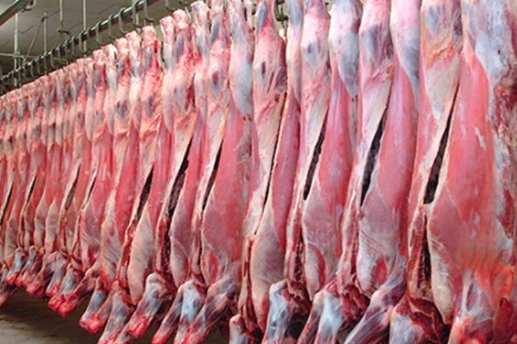 Hypochlorous acid is for meat processing cleaning