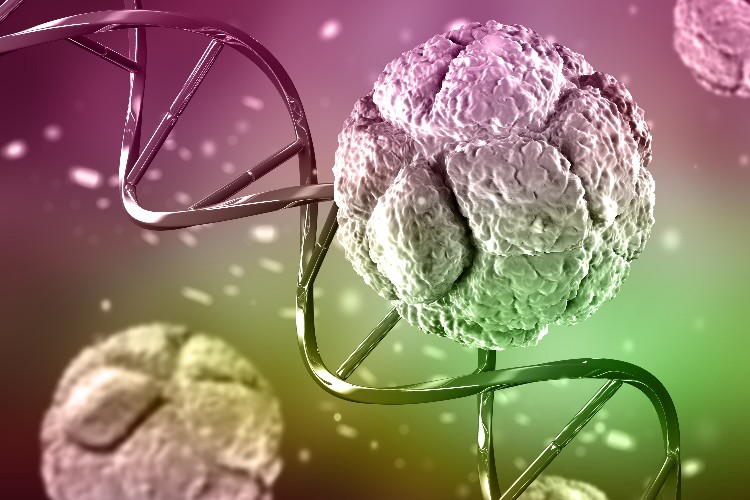 The Miracle Molecule Hypochlorous Acid Inside Us The Miracle Molecule Hypochlorous Acid Inside Us