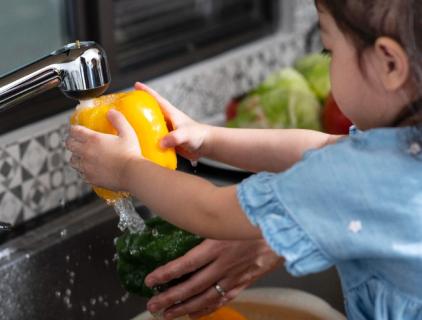 What is a Food Safe Disinfectant