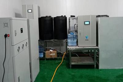 Hypochlorous acid generator for pet skin disease prevention