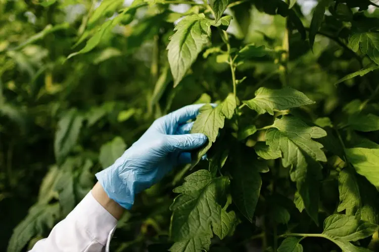 On-Farm Disinfection Made Easy On-Farm Disinfection Made Easy
