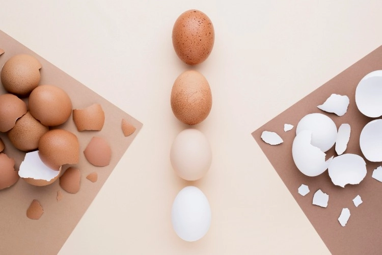 1752195781896260.jpg huevos lavados vs. sin lavar visual_resized.jpg