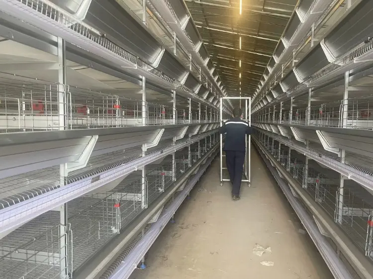 Nuestra rutina de limpieza de aves de corral de un día “rápida” Nuestra rutina de limpieza de aves de corral de un día “rápida”