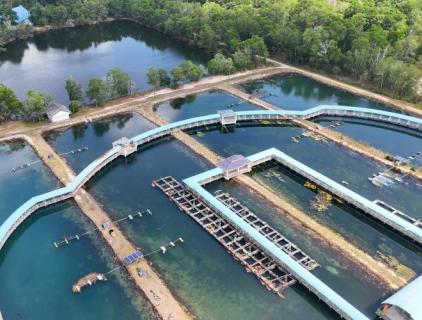 What is the Purpose of Water Treatment Plant