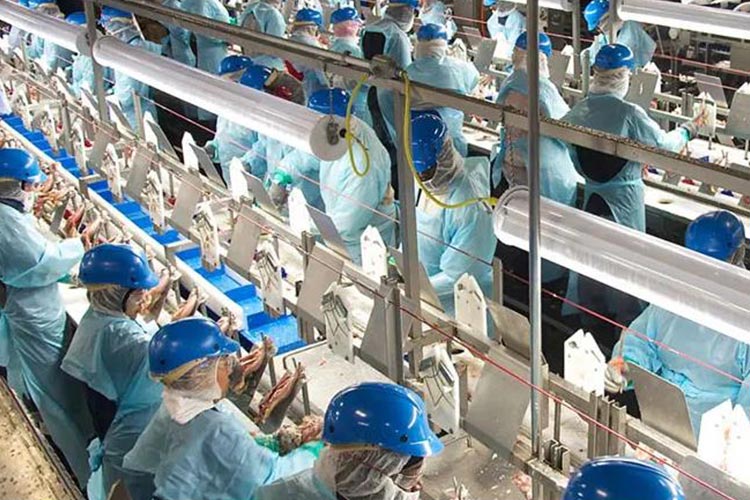 हाइपोक्लोरस एसिड जनरेटर Hypochlorous acid generator
