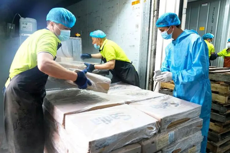 कोल्ड चेन कीटाणुशोधन Cold chain disinfection