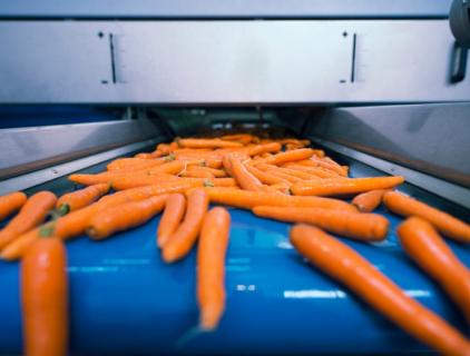 연속 식품 소독 엣지