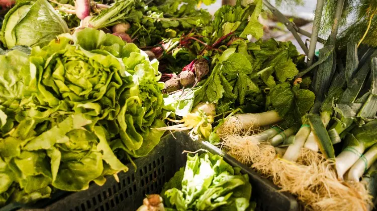 Why Food Surface Disinfection Matters