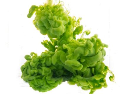 ¿El hipoclorito de sodio mata las algas?