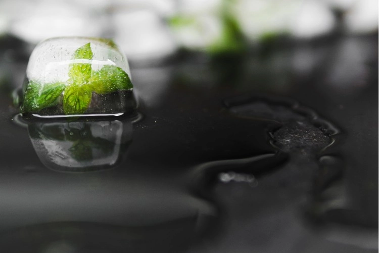 HOCl Acid Revealed HOCl Acid Revealed