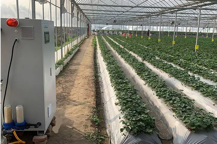 máy phát điện HOCL máy phát điện HOCL