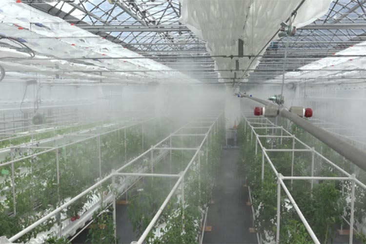 máy phát điện HOCL máy phát điện HOCL