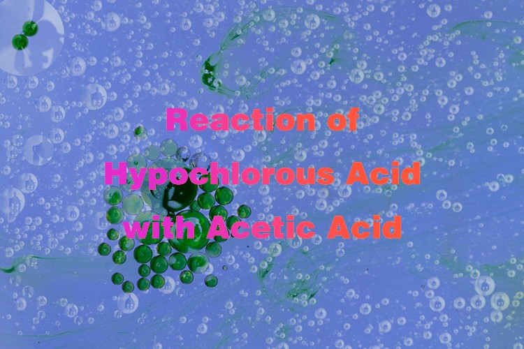 Reaction of Hypochlorous Acid with Acetic Acid Reaction of Hypochlorous Acid with Acetic Acid